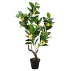 GlasFlength Artificial Plants Artificial Rubber Tree Artificial Lemon Tree Faux Plants for Indoor Home Decoration, Green, 12"*12"*31.5" - 3 of 4