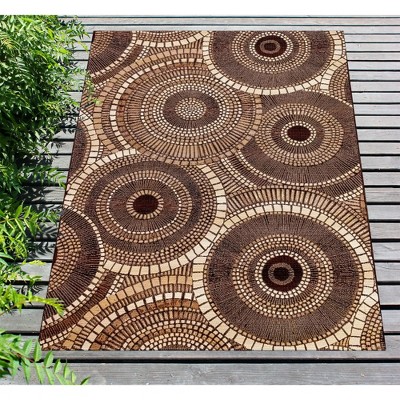 Brown and Tan Synthetic Flat Woven Rectangular Rug