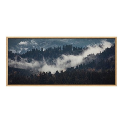 Kate and Laurel Sylvie Inner Mist Framed Canvas by Emiko and Mark Franzen of F2Images
