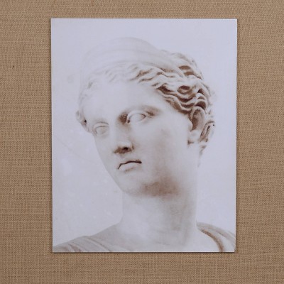 24"x30" Set of 2 Roman Bust Framed Canvas Prints