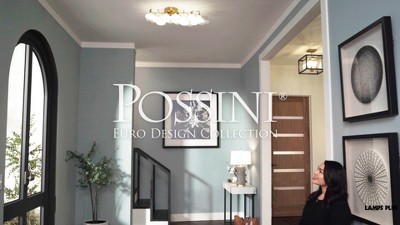 Possini lilypad sales