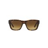 Ray-Ban RB4194 53mm Unisex Square Sunglasses - image 2 of 4