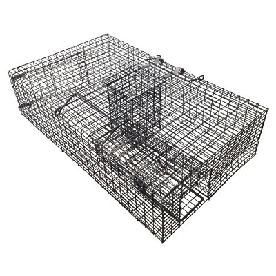 Rugged Ranch RATTR Ratinator Live Rat Squirrel Chipmunk Metal 2 Door Trap Cage