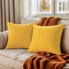 REGALWOVEN Sofa Living Room Decor Solid Velvet Square Throw Pillow Covers 2 Pcs - 2 of 4