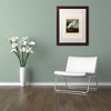 Trademark Fine Art -John James Audubon 'Snowy Heron' Matted Framed Art - 3 of 4