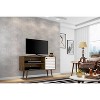Liberty Mid-Century Modern 2 Shelves and 1 Door TV Stand for TVs up to 46" - Manhattan Comfort - 2 of 4