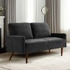 56" Velvet European Style 2-Seater Loveseat Sofa for Living Room, Apartment or Office with Sleek Design, Modern Vintage Flair - 4 of 4