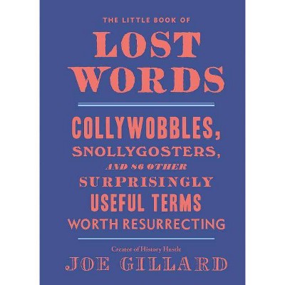 The Little Book of Lost Words - by  Joe Gillard (Hardcover)