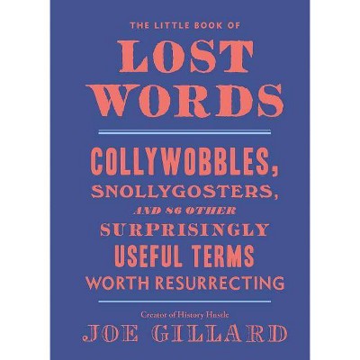 The Little Book of Lost Words - by  Joe Gillard (Hardcover)