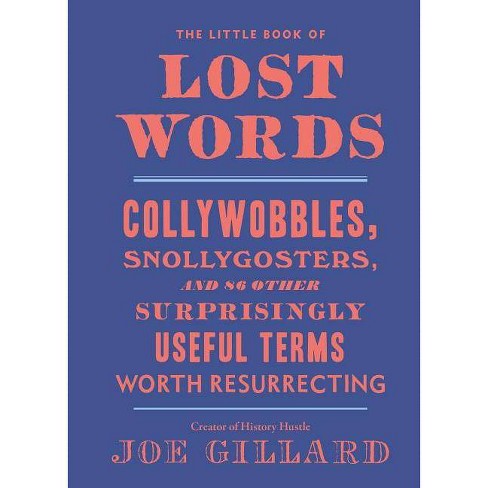 The Little Book of Lost Words - by  Joe Gillard (Hardcover) - image 1 of 1