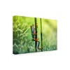 Trademark Fine Art Wil Mijer  Climb Canvas Wall Art - 4 of 4