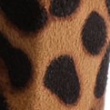 brown leopard