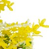Northlight Forsythia and Leaves Artificial Floral Spring Wreath, Yellow - 22-Inch - 4 of 4