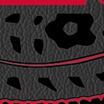 cincinnati bearcats