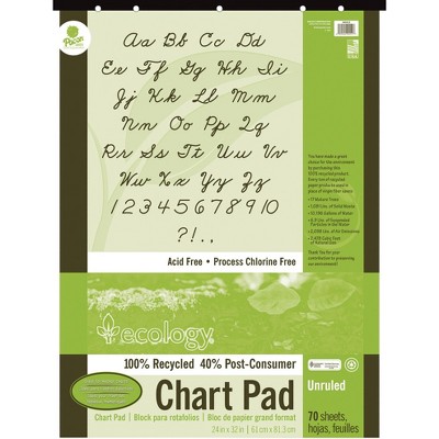 Ecology Recycled Chart Pad, Unruled, 24 x 32 Inches, 70 Sheets