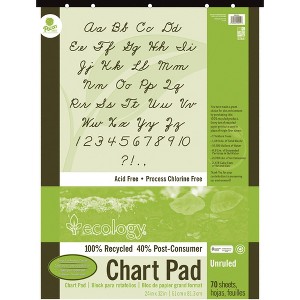Ecology Recycled Chart Pad, Unruled, 24 x 32 Inches, 70 Sheets - 1 of 1