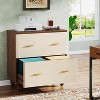 Tribesigns Saddle Leather 2-Drawer File Cabinet - 2 of 4