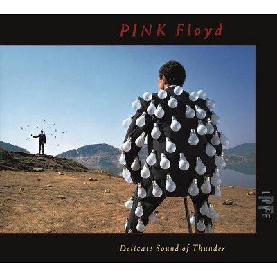 Pink Floyd - Delicate Sound Of Thunder (CD)