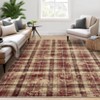 Machine Washable Indoor Modern Geometric Area Rugs Soft Low Pile Mat with Small Checkered Print - 4 of 4