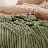 Bedsure | Indulge in Comfort Bed Blanket with Unique Chunky Corduroy Texture - 4 of 4