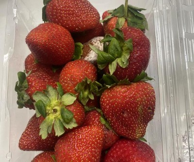 Guest review image 1 of 1, zoom in