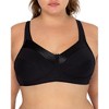 Fruit of the Loom Women's Seamed Soft Cup Wirefree Cotton Bra 2-Pack - image 4 of 4