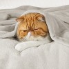 Bedsure GentleSoft Oversized King Big Blanket 120"x120" - Extra Large Soft Blankets for Bed, Sofa, Couch, Travel, Camping, Party, Giant Huge Throws - 4 of 4