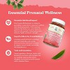 Prenatal Multi Gummies for Women, Chewable Prenatal Vitamins with Iron Folic Acid and Superfruit Blend, Pineapple & Mango, Nature's Craft, 120ct - 4 of 4