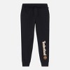 Timberland Men's Linear Logo Sweatpant - 4 of 4