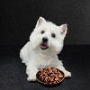 Cesar Filets in Gravy, Chicken, Beef and Red Meat Flavor Small Breed Wet Dog Food - 3.5oz - 4 of 4