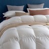 Royoliving Silver Premium Heavyweight 100 Percent Cotton Box Stitch Winter Comforter with Goose Down Padding, White, King - 2 of 4