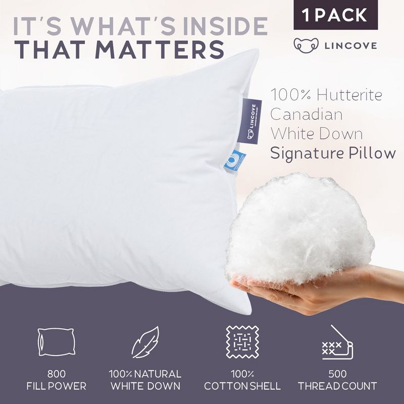 Lincove Signature 100% Canadian Down Luxury Sleeping Pillow - 800 Fill Power, 500 Thread Count Cotton Shell, 1 Pack, 3 of 9