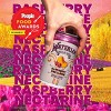 Waterloo Raspberry Nectarine Sparkling Water - 8pk/12 fl oz Cans - image 4 of 4