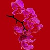 Junior's Design By Humans Orchid By jirkasvetlik T-Shirt - 2 of 3
