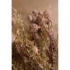 Artificial Pink Melaleuca Spray – 22" Tall Faux Floral Accent, Set of 6 by Kalalou - 2 of 3