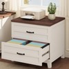 2-Drawer Lateral File Cabinet: Farmhouse Wooden Deeper Drawers Holds Legal Letter A4 Thick Top Sturdy Frame White Retro for Home Office - 2 of 4
