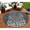 Charcoal Gray And Silver Abstract Washable Indoor Outdoor Area Rug - 2 of 4