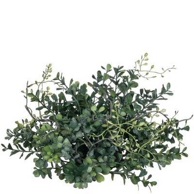 Sullivans Blue Boxwood Orb Decorative Filler 6"H Green