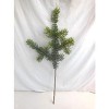 Pine Spray (Set of 6) - 3 of 3