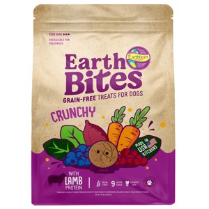 Earthborn Holistic EarthBars Lamb & Pumpkin Grain-Free Crunchy Dog Treats - 10 oz - 1 of 1