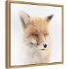 Amanti Art Satisfied Fox by Doris Reindl Canvas Wall Art Print Framed 16-in. x 16-in. - 3 of 4