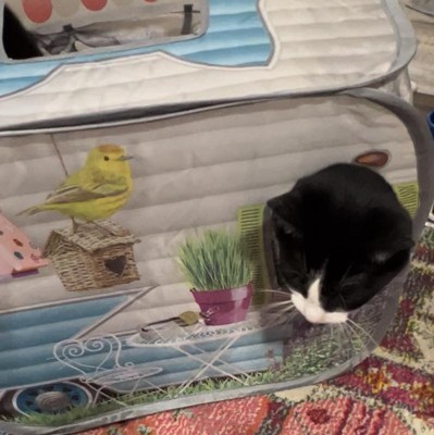 POP-UP CAMPER PLAY SPACE ​by KONG CAT TOYS