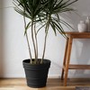 Bloem Rolled Rim Indoor Outdoor Planter Pot Black 21.5"x19.5" - 2 of 3