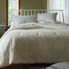 Traditional Vine Printed Cotton Comforter & Sham Set Green - Threshold™ - image 4 of 4