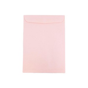 JAM Paper 6 x 9 Open End Catalog Envelopes Baby Pink 10/Pack (51285797B) - 1 of 2