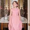 Hope & Henry Girls'  Ruffle Collar Party Dress with Eyelet Embroidery, Toddler - 4 of 4