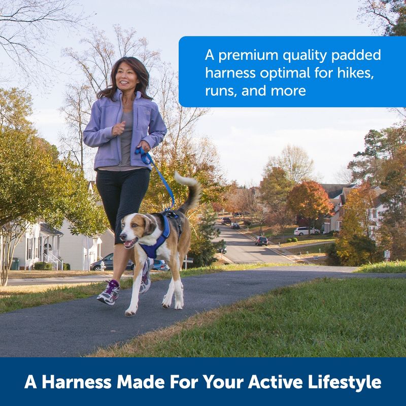 PetSafe EasySport Adjustable Dog Harness, 6 of 10