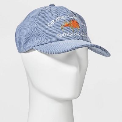 Men's Canyon Baseball Hat - Goodfellow & Co Blue - image 2