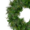Northlight 24" Unlit Mixed Canyon Pine Artificial Christmas Wreath - 3 of 4