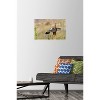 Trends International The Comedy Wildlife Photography Awards: Wendy Kaveney - That Wasn't Here Yesterday Unframed Wall Poster Prints - 2 of 4